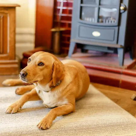 4 Bed In Near And Far Sawrey Llh42 Near Sawrey