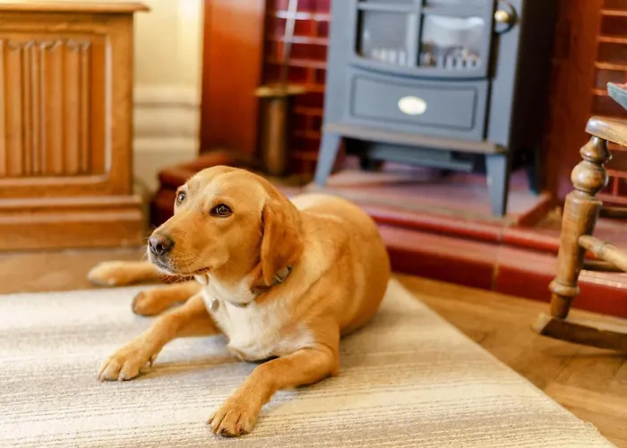 4 Bed In Hawkshead Oc-llh42 Nyaraló